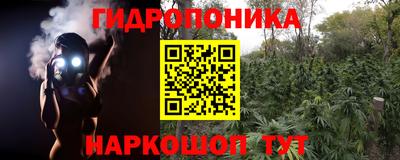 стаф Кунгур