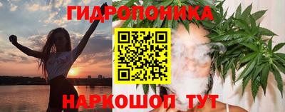 стаф Кунгур