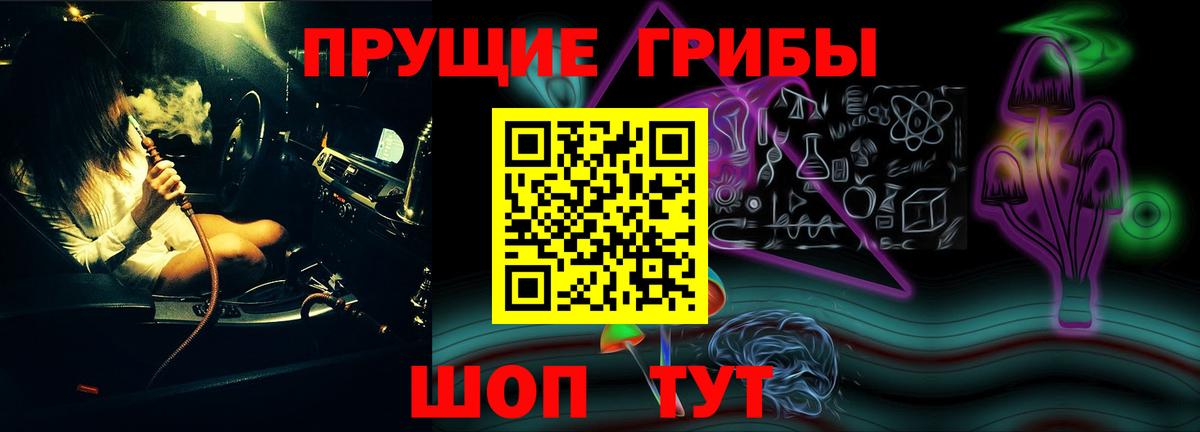 цены наркотик  Вход с VPN  Галлюциногенные грибы мухоморы  Гусев  Псилоцибиновые грибы мухоморы 